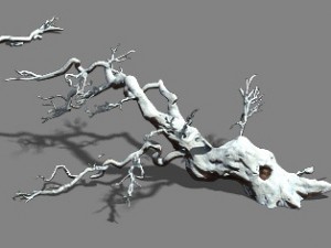 snow - fallen to the ground 3Dモデル