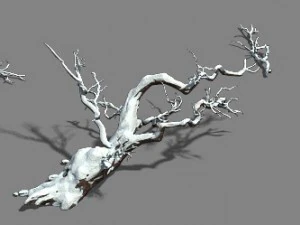 snow - fallen to the ground 3D Model
