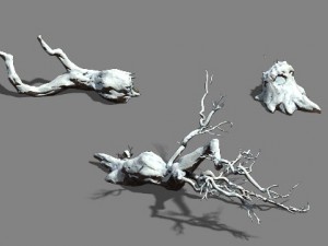 snow - fallen to the ground Model 3D