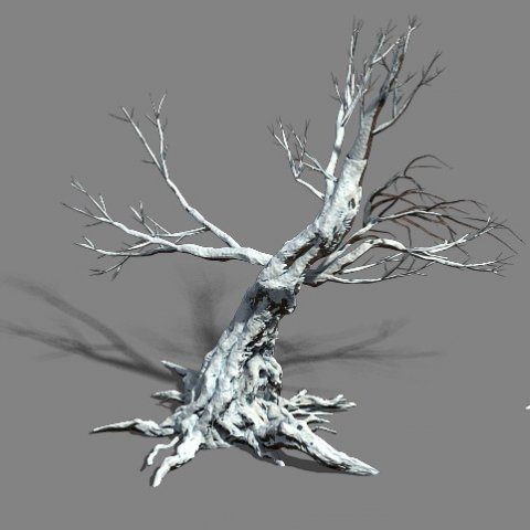 snow - dead tree 1 3D Model .c4d .max .obj .3ds .fbx .stl .blend 