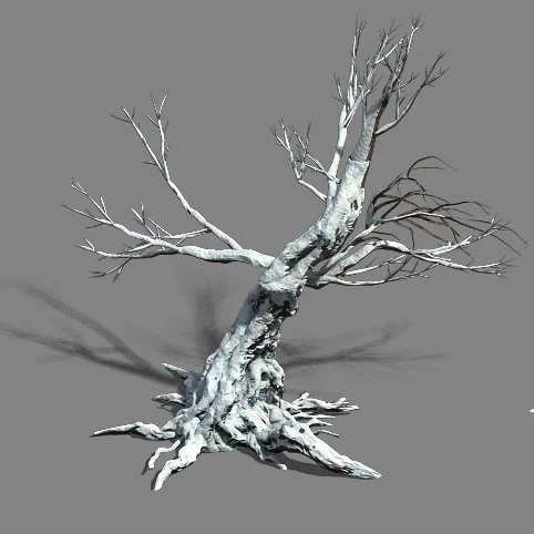 snow - dead tree 1 3D Model .c4d .max .obj .3ds .fbx .stl .blend 
