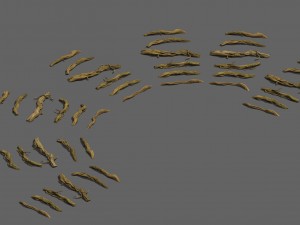 wild - roots 3D मॉडल
