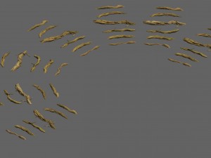 wild - roots Model 3D