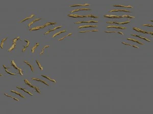 wild - roots 3D Model