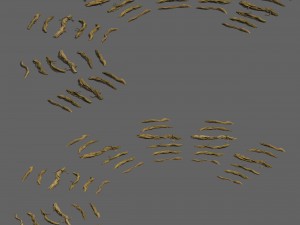 wild - roots Model 3D