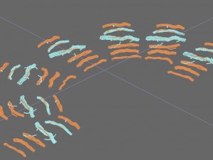 wild - roots Model 3D