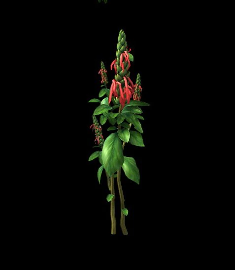 wild plants - flowers 01 3D Model .c4d .max .obj .3ds .fbx .stl .blend