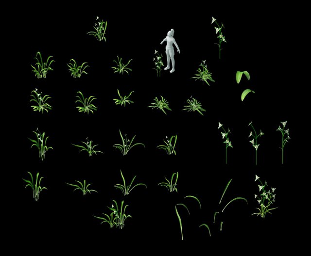 wild plants - flowers 02 Model 3D .c4d .max .obj .3ds .fbx .stl .blend 