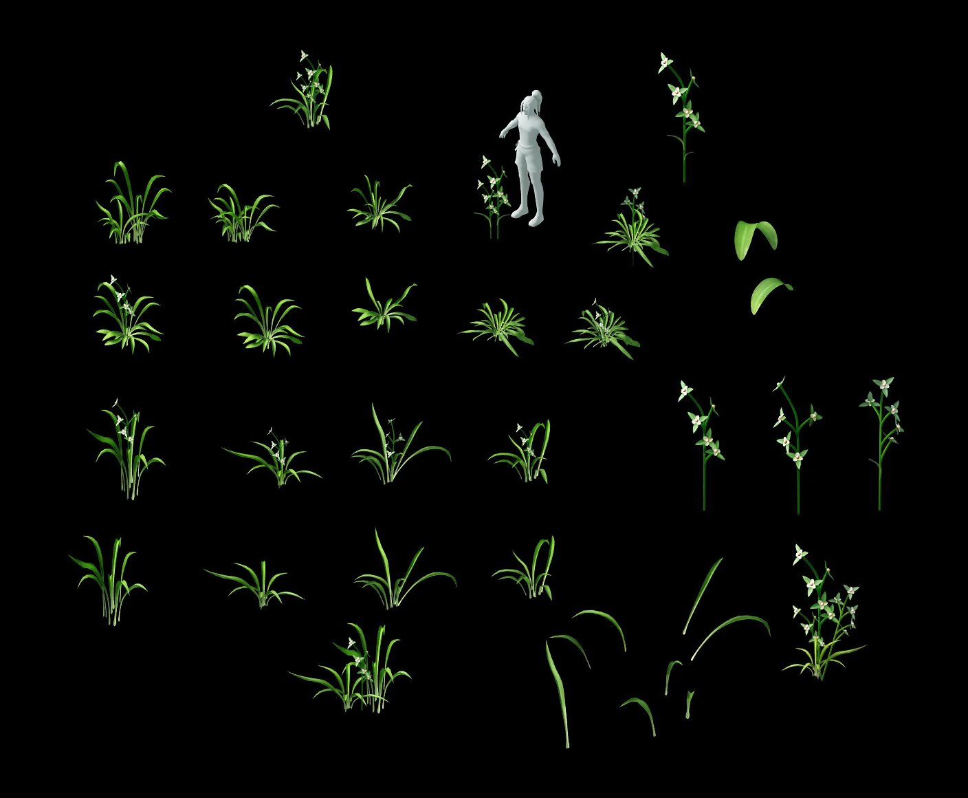 wild plants - flowers 02 3D Model .c4d .max .obj .3ds .fbx .stl .blend 