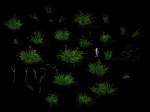 wild plants - flowers 03 3D 模型