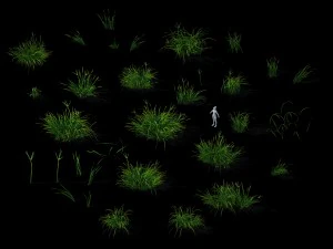 wild plants - flowers 03 3D Model
