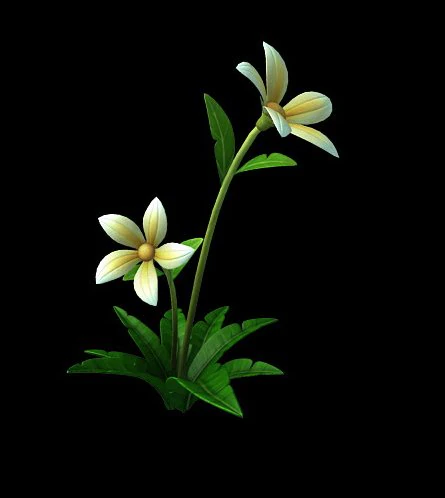 wild plants - flowers 04 3D Model .c4d .max .obj .3ds .fbx .stl .blend 