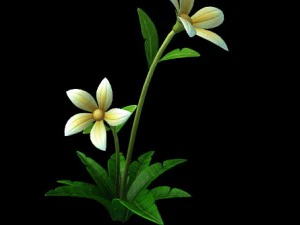 जंगली पौधे-फूल 04 3D मॉडल