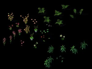 wild plants - flowers 04 3D Model