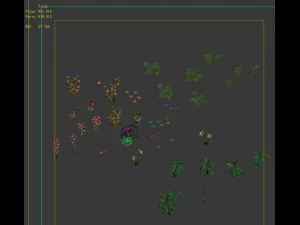 wild plants - flowers 04 3D Model