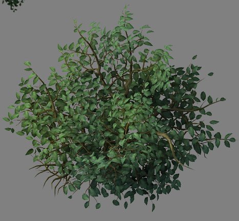 wild plants - flowers 05 Modelo 3D .c4d .max .obj .3ds .fbx .stl .blend