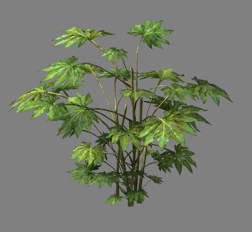 wild plants - flowers 06 3D Model .c4d .max .obj .3ds .fbx .stl .blend 