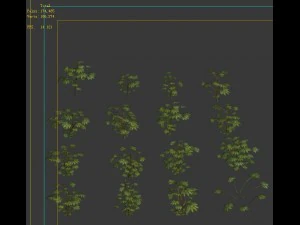 wild plants - flowers 06 3D Model