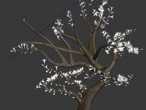 plant - whitewood tree 3D 모델