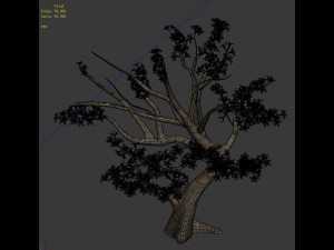 plant - whitewood tree 3D 모델