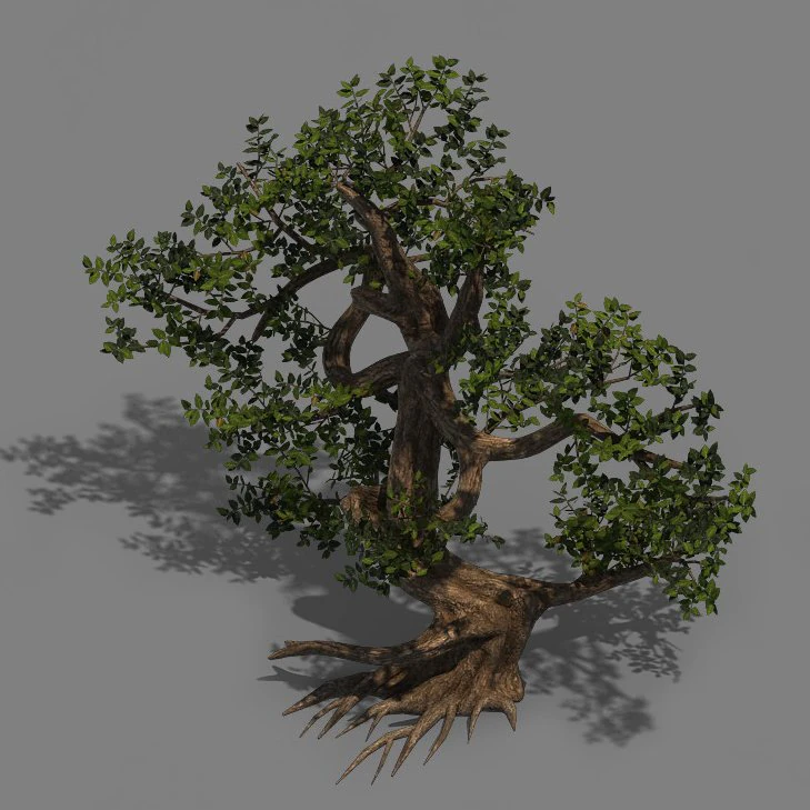 plant - cypress 3D Model .c4d .max .obj .3ds .fbx .stl .blend 