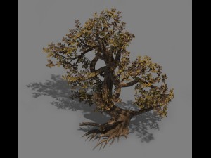plant - cypress Modelo 3D