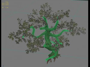 plant - cypress Modelo 3D