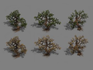 plant - cypress Modelo 3D