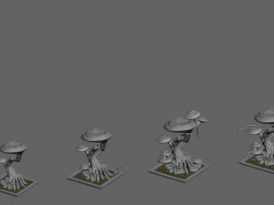 plant growth process - dongtian ganoderma lucidum 3D Model