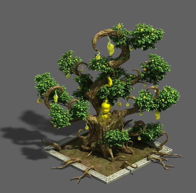 plant growth process - ginseng fruit 3D Model .c4d .max .obj .3ds .fbx .stl .blend