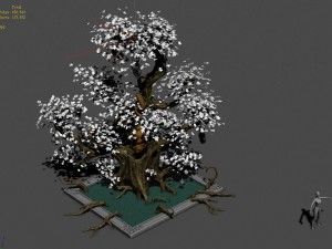 plant growth process - ginseng fruit 3D 모델