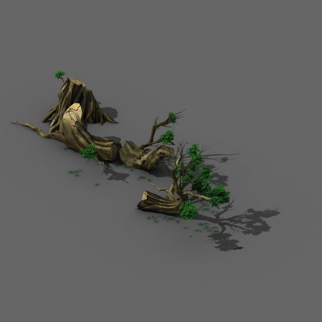 plant - broken tree 01 3D 모델 .c4d .max .obj .3ds .fbx .stl .blend 