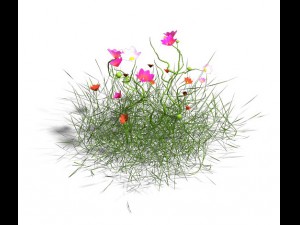 plant - gesang hua 3D Model
