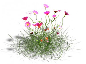 plant - gesang hua Modèle 3D
