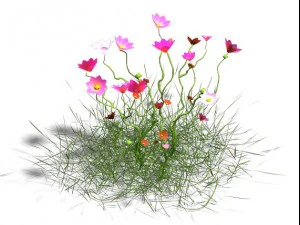 plant - gesang hua 3D Model
