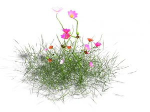 plant - gesang hua 3D Model