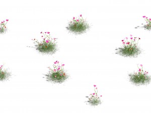 plant - gesang hua Modèle 3D