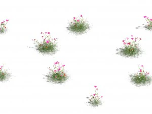 plant - gesang hua 3D Model