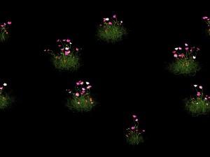 plant - gesang hua Modèle 3D