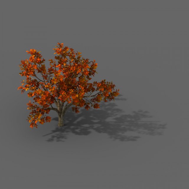 plant - shrub 01 3D Модель .c4d .max .obj .3ds .fbx .stl .blend 