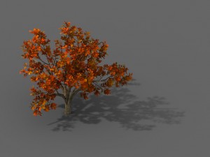 plant - shrub 01 3D Модель
