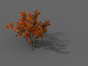 plant - shrub 01 3D Модель