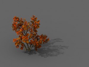 plant - shrub 01 3D Модель