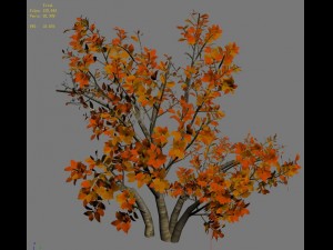 plant - shrub 01 3D Модель