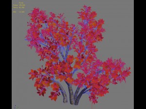 plant - shrub 01 3D Модель