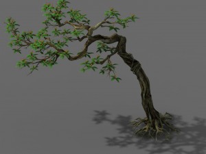 plant - safflower tree 3D Модель