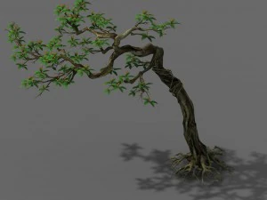 растение &ndash; сафлоровое дерево 3D Модель