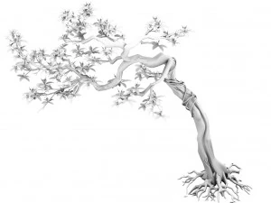 plant - safflower tree 3D Model