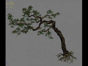 plant - safflower tree 3D Модель
