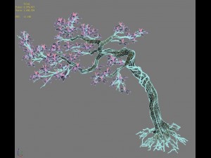 plant - safflower tree 3D Модель